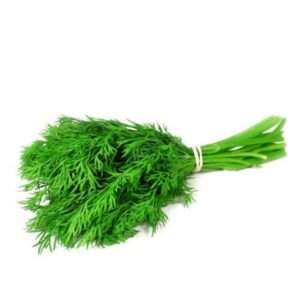 सोया 4 Gaddi