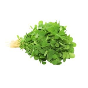 मेथी 4 Gaddi