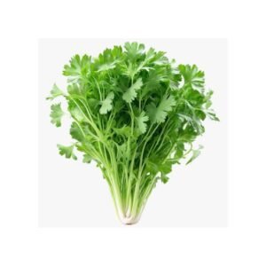 Hari Dhaniya 4 Gaddi